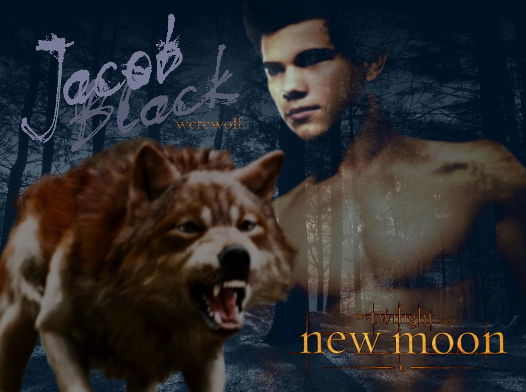 Jacob Black As Portrayed By Taylor Lautner In New Moon