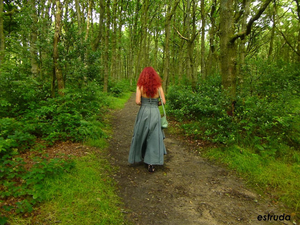 Walk In The Woods By Estruda