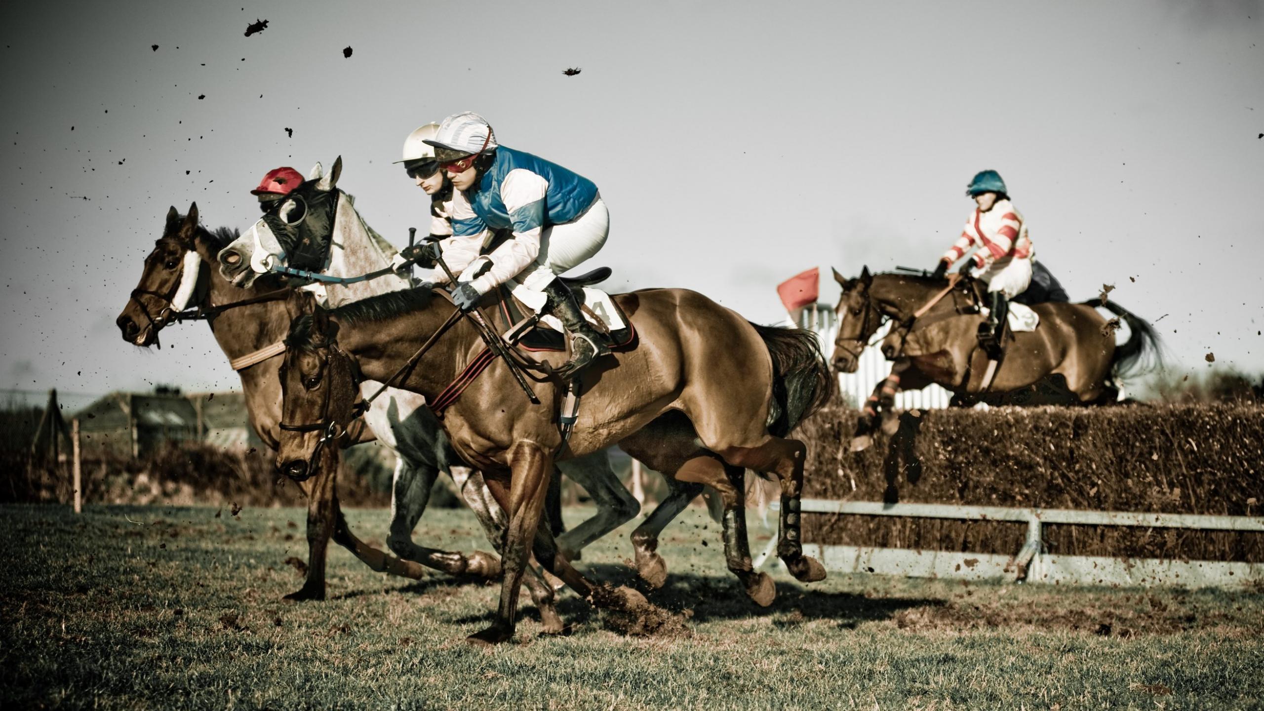 Pics Photos Horse Racing Wallpaper