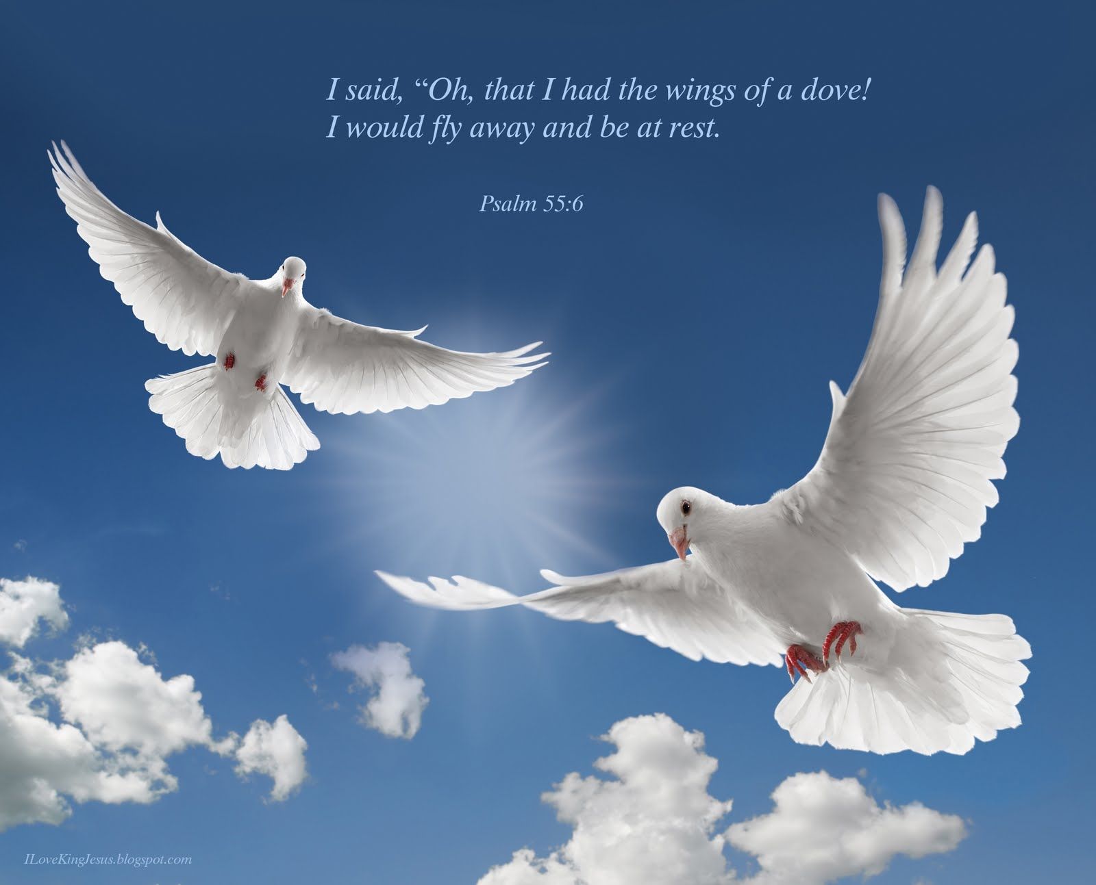 Desktop Christian Wallpaper Two Love Doves Dove
