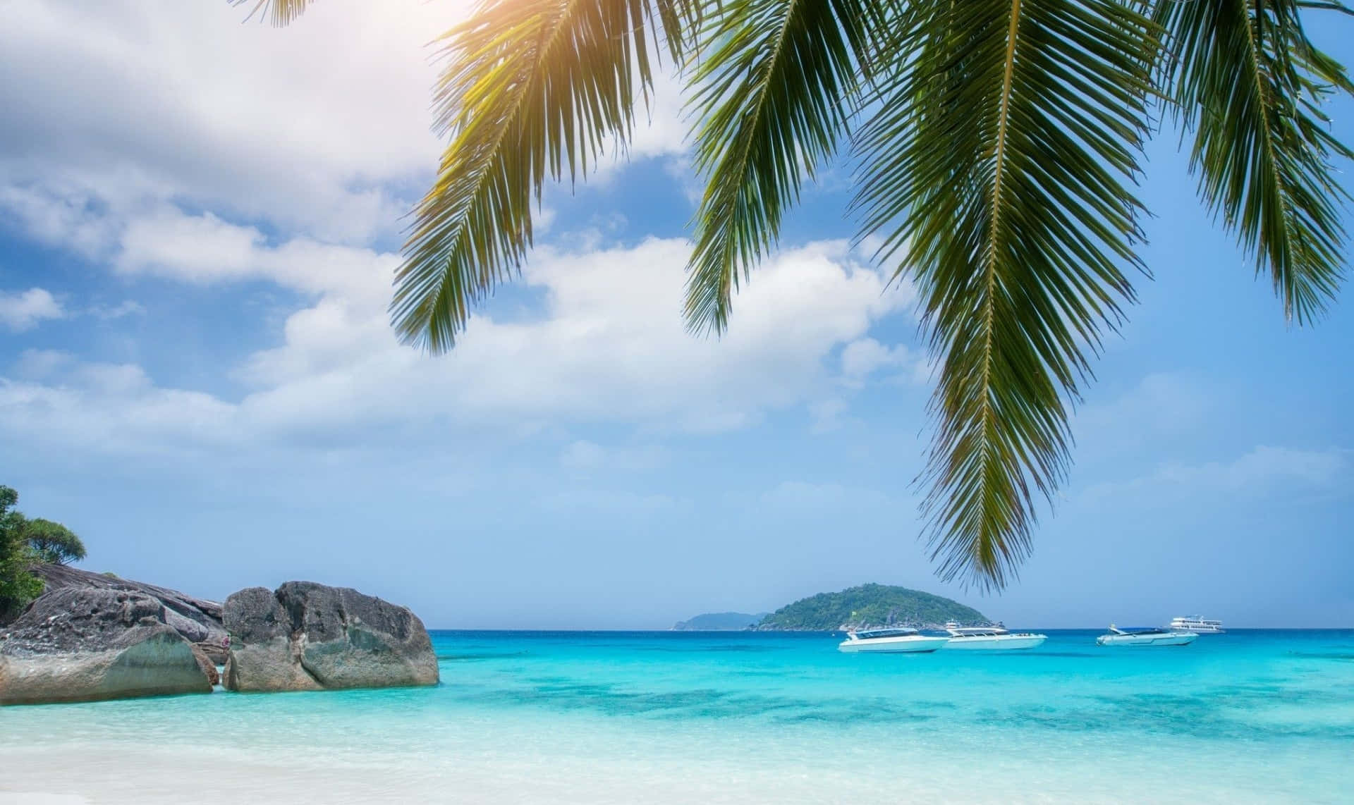 Palm Tree Beach Wallpaper