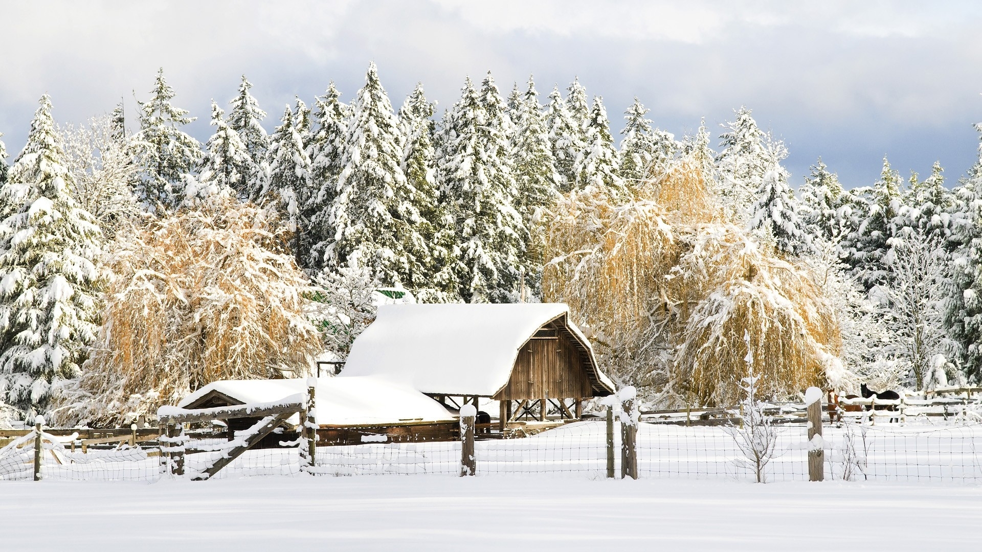 Nature Snow World Country Christmas British Columbia Barn