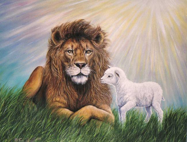 The Lion And Lamb By Fawn Mcneill Okeechobee Florida