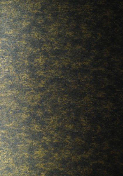 Shimmer Plains Wallpaper In Gold On Black From The Anna French