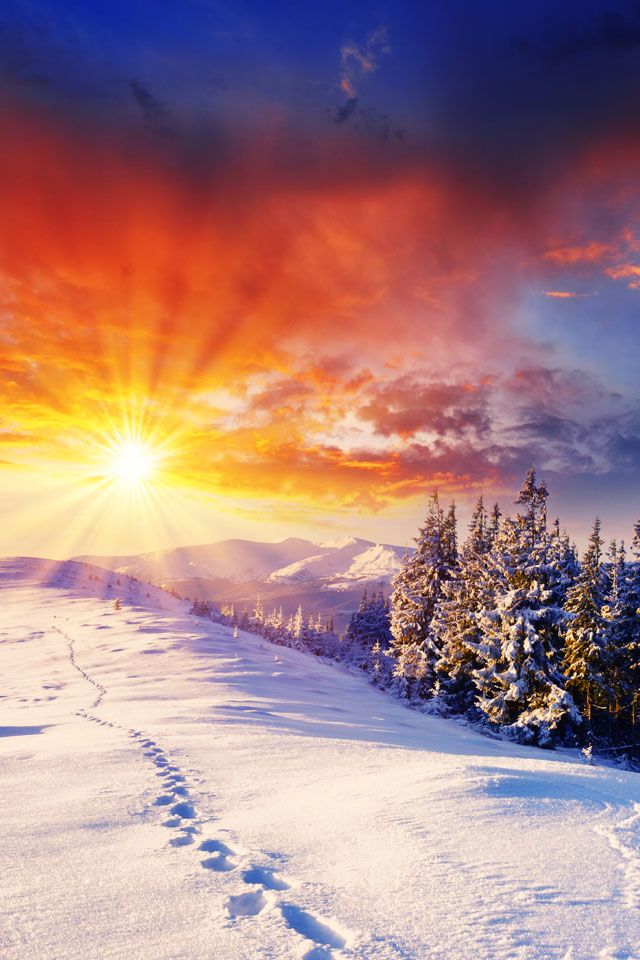 Beautiful Winter Sunset Wallpaper iPhone