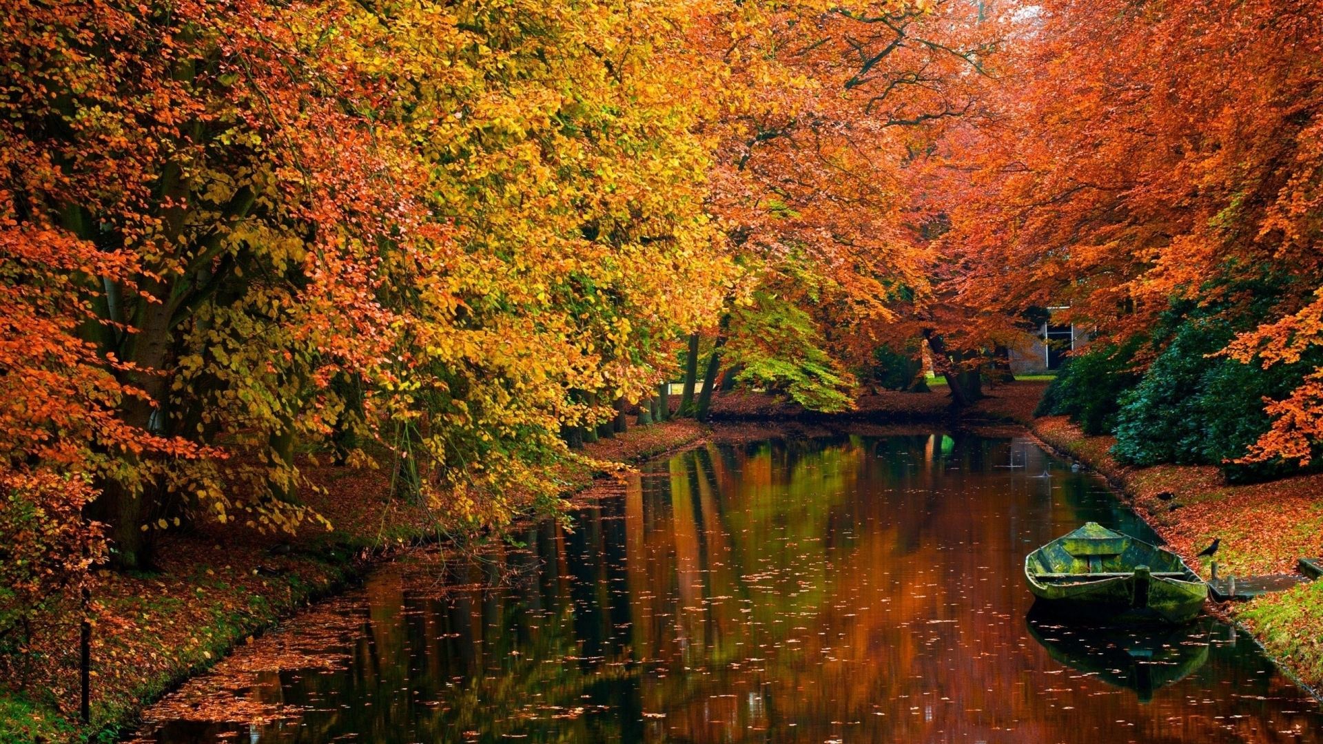 Fall Wallpaper On