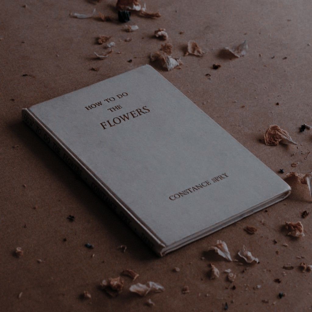 Dark Book Aesthetic Wallpaper