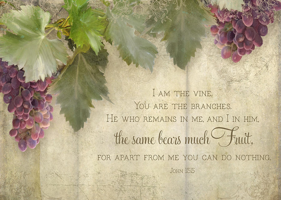 Tuscan Vineyard Rustic Wood Fence Scripture Painting By Audrey