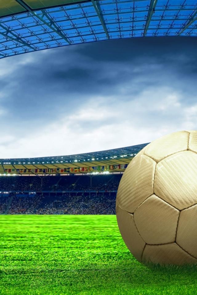 Soccer Ball On The Field iPhone Wallpaper
