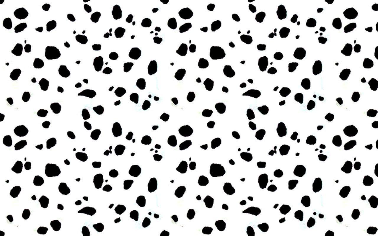 Dalmatian Background