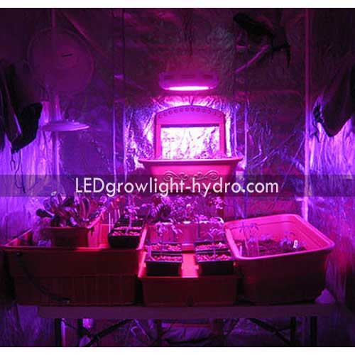 Led Grow Lights Ufo For Vegetables Growing 90w