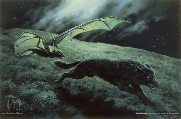 Jrr Tolkien Bats Wolves Fantasy Wallpaper Desktop