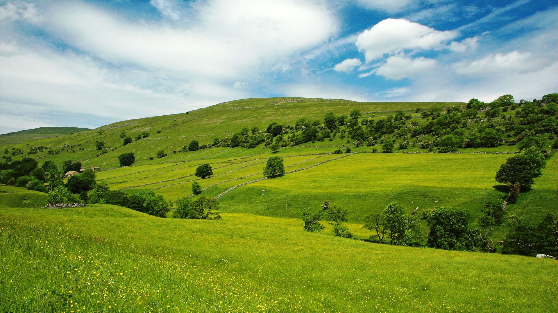 Green Plains Of Wales HD Image Photography Landscapes