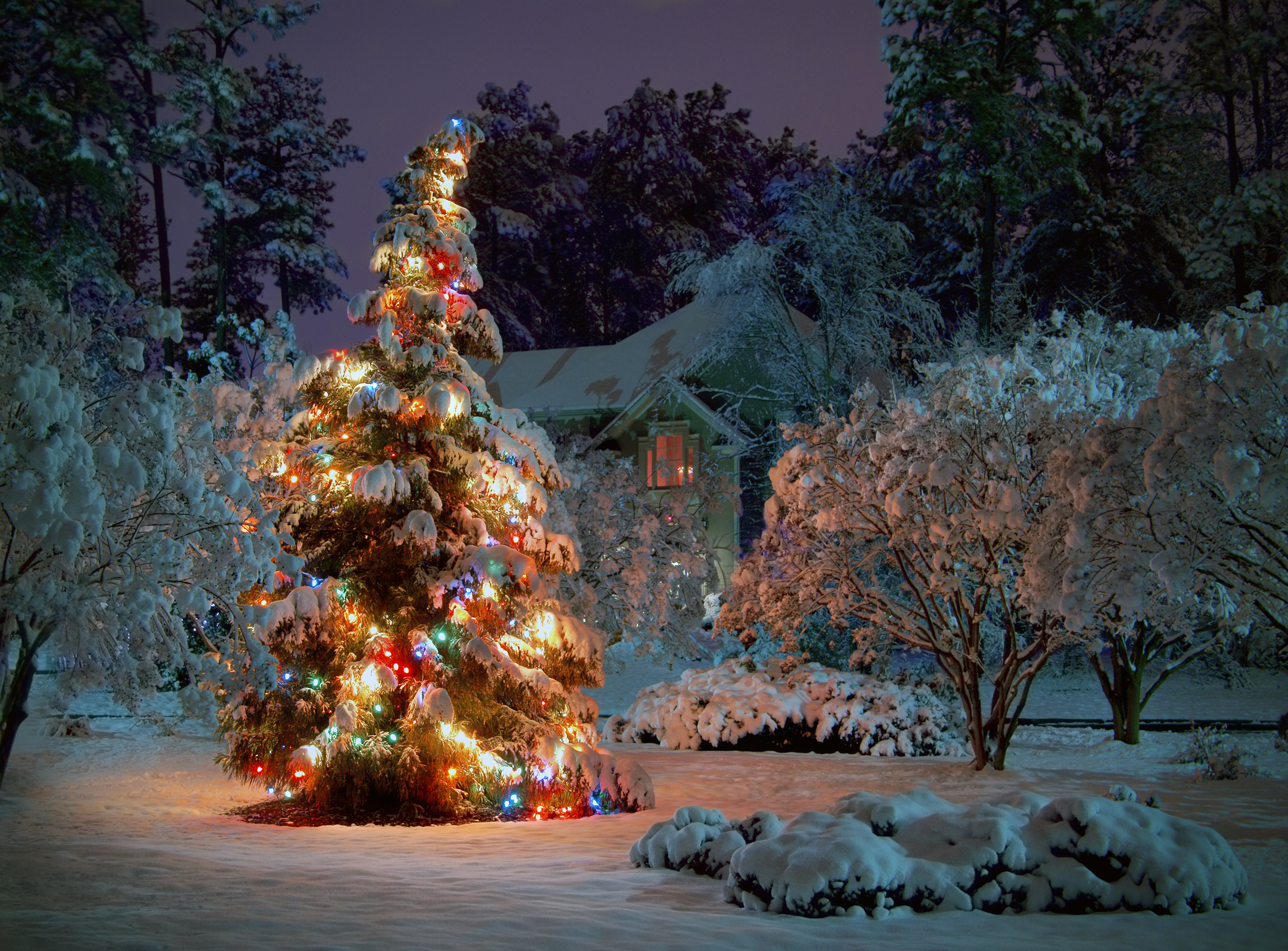 Christmas Holiday Wallpaper Hd
