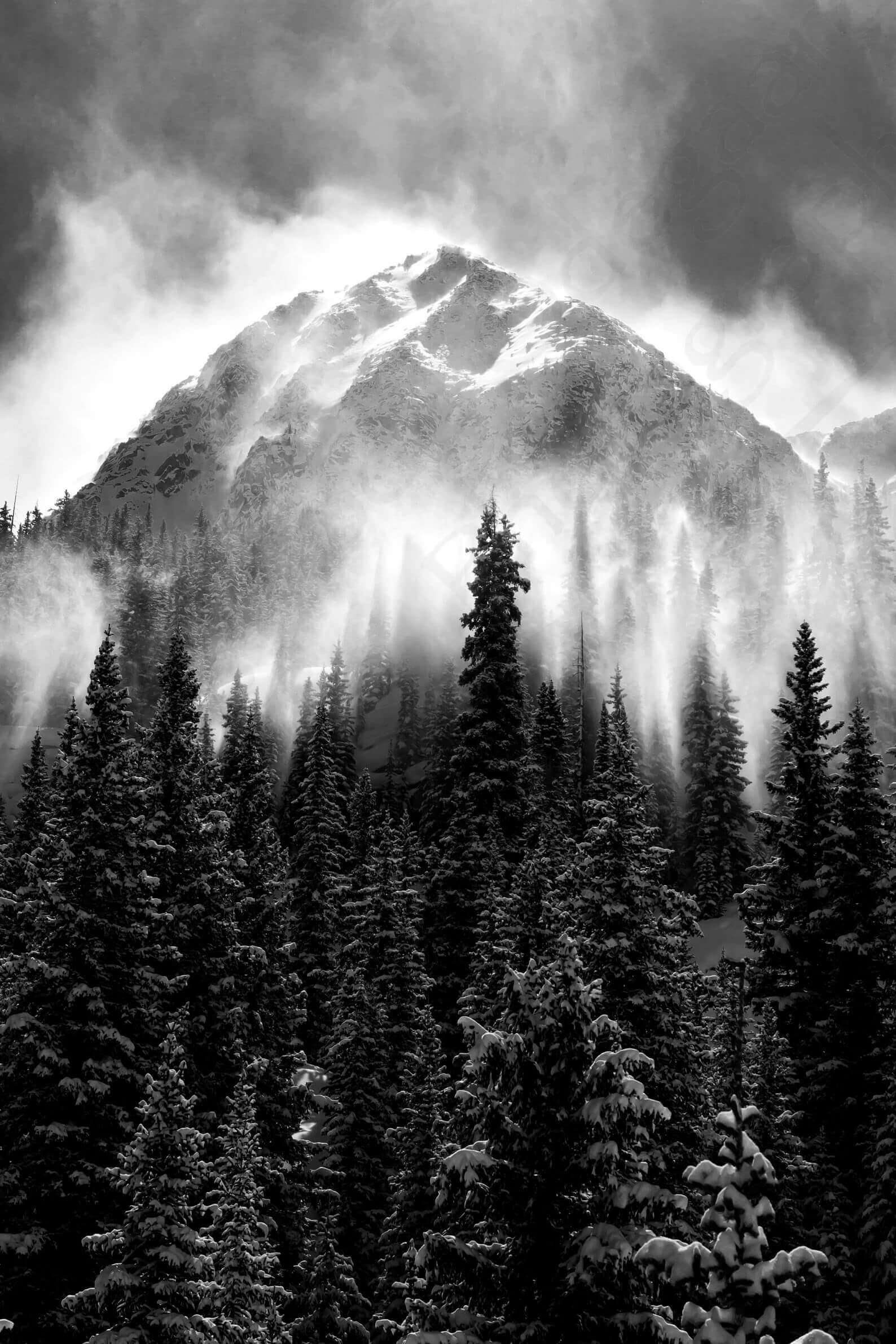 Black And White Prints Wallpaper