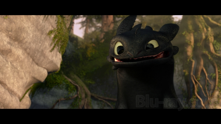 Best Cute Toothless Smiling Wallpaper All About Dragon World