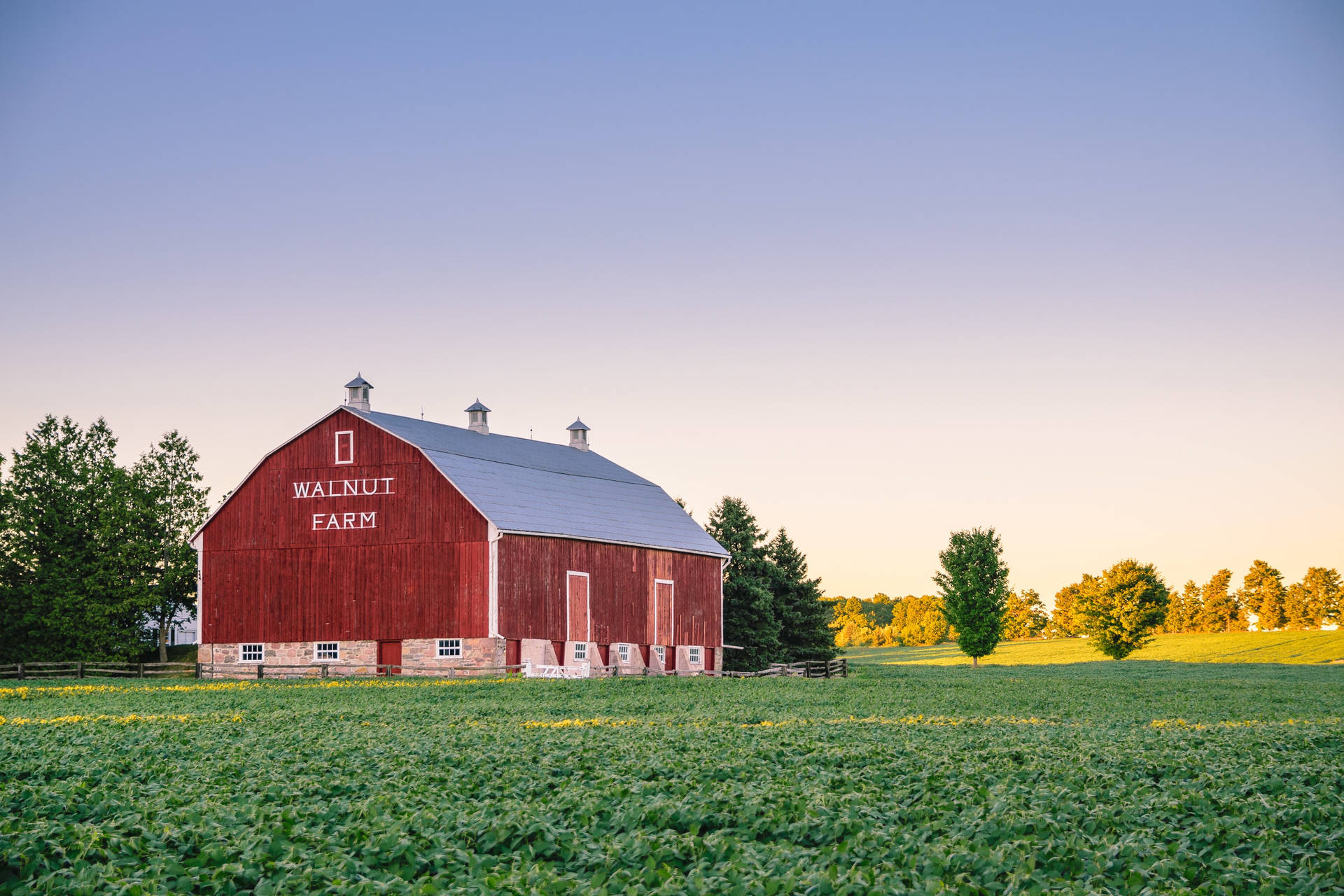 Farmhouse With Walnut Crops O8e9m41t1j4rgfxl Wallpaper