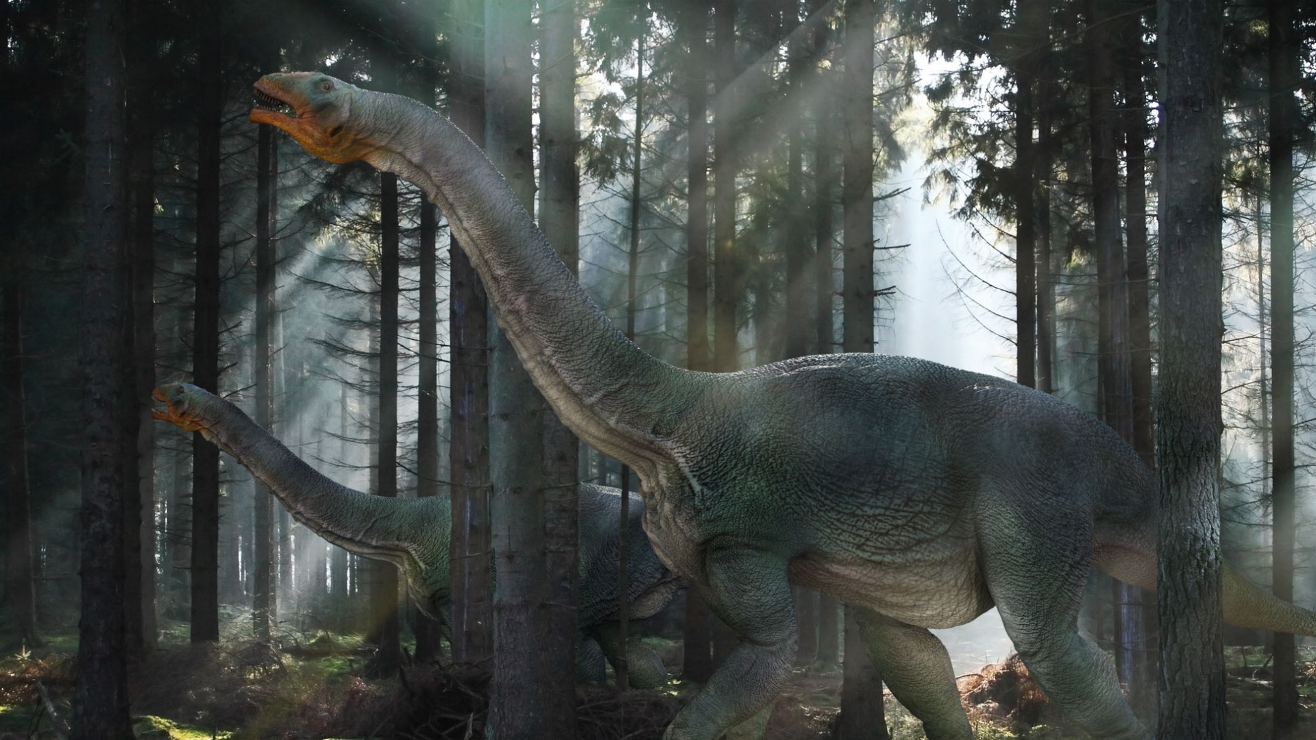 Wallpaper Dinosaur Mesozoic Era Walk Forest Full