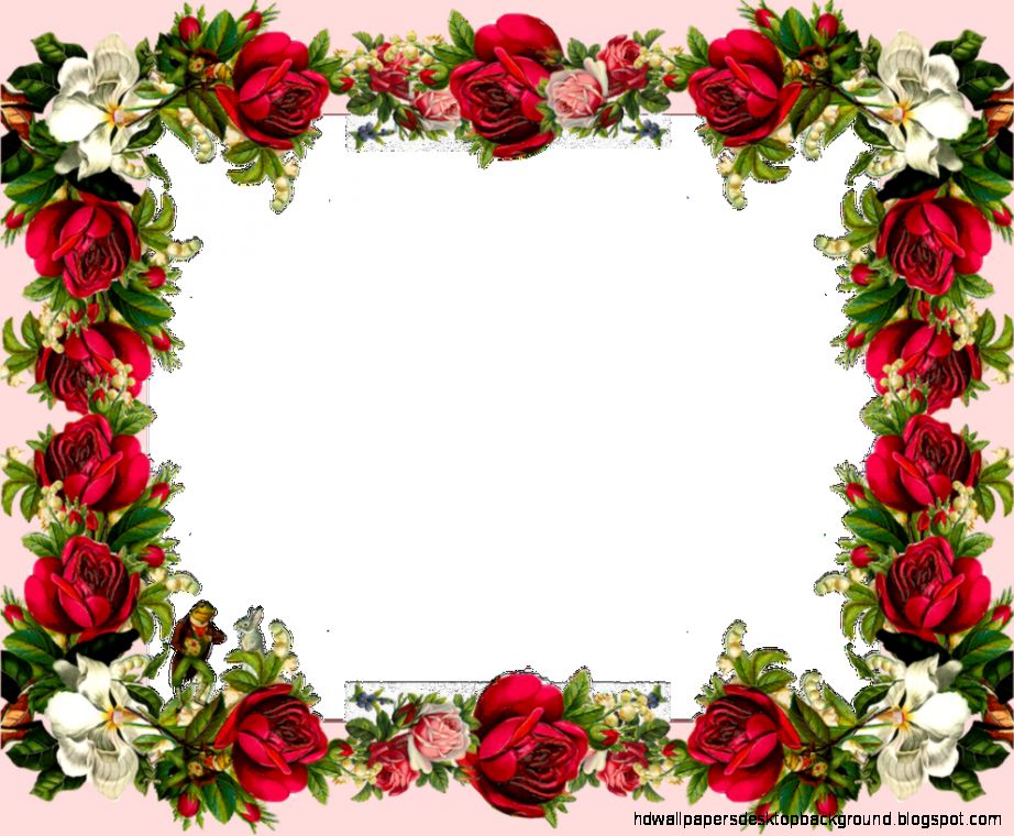 HD Flower Photo Frames Wallpaper Desktop Background