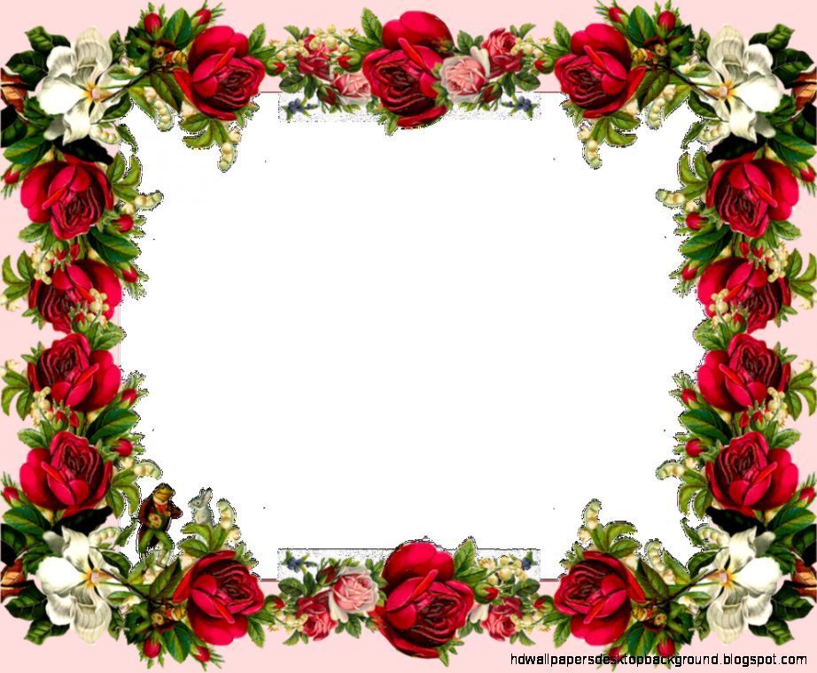 Hd Flower Photo Frames Wallpaper Desktop Background