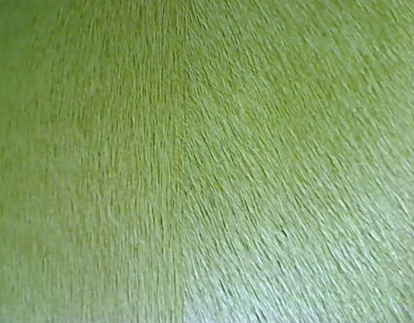 [49+] Lime Green Wallpaper for Walls on WallpaperSafari