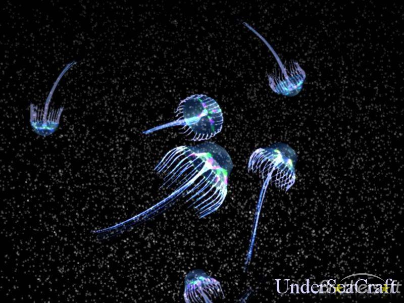 Animated Jellyfish Wallpaper This Is A