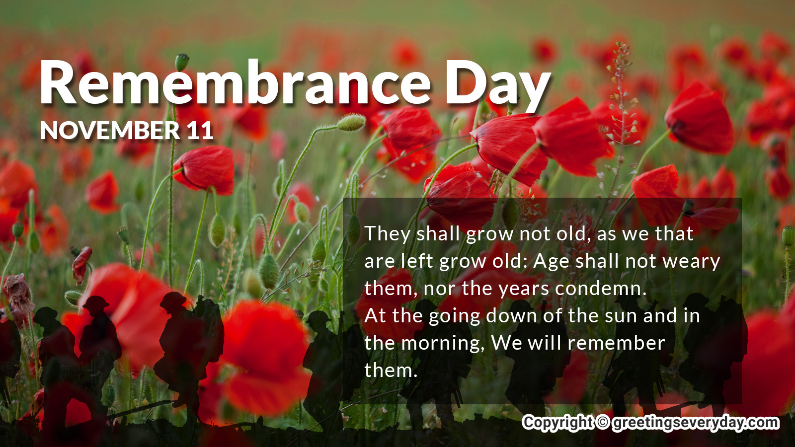 Best Remembrance Day Wallpaper