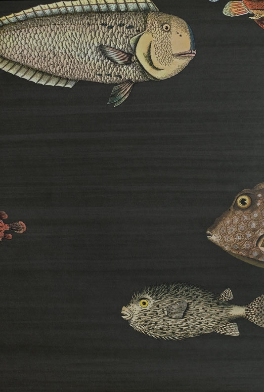 Acquario Wallpaper Black Brush Stripe With Tropical Fish