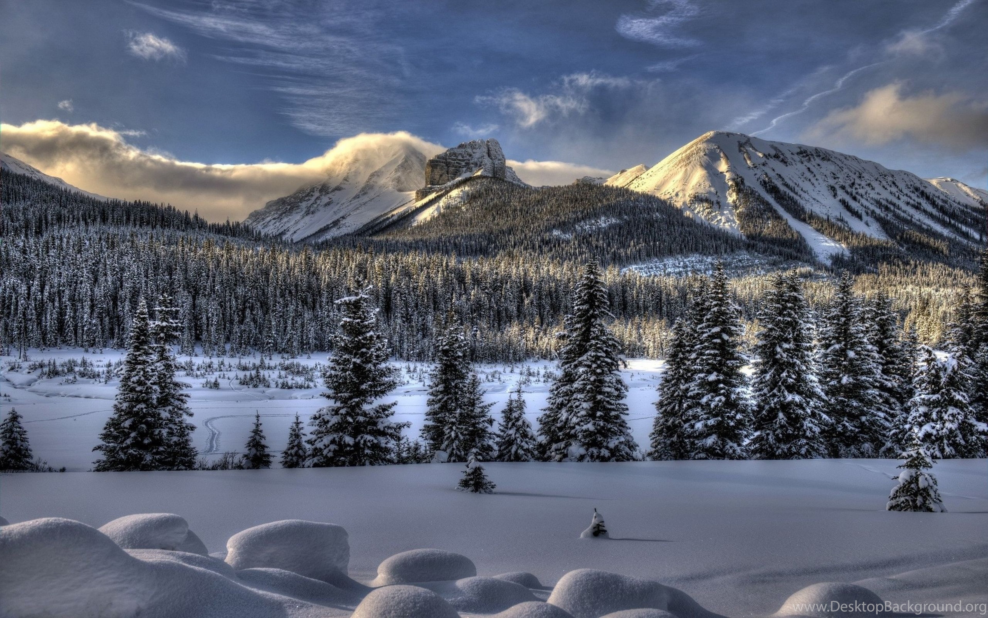 A breathtaking winter landscape featuring snow-covered mountains, a serene frozen lake, and a dense forest of snow-dusted pine trees under a vibrant blue sky