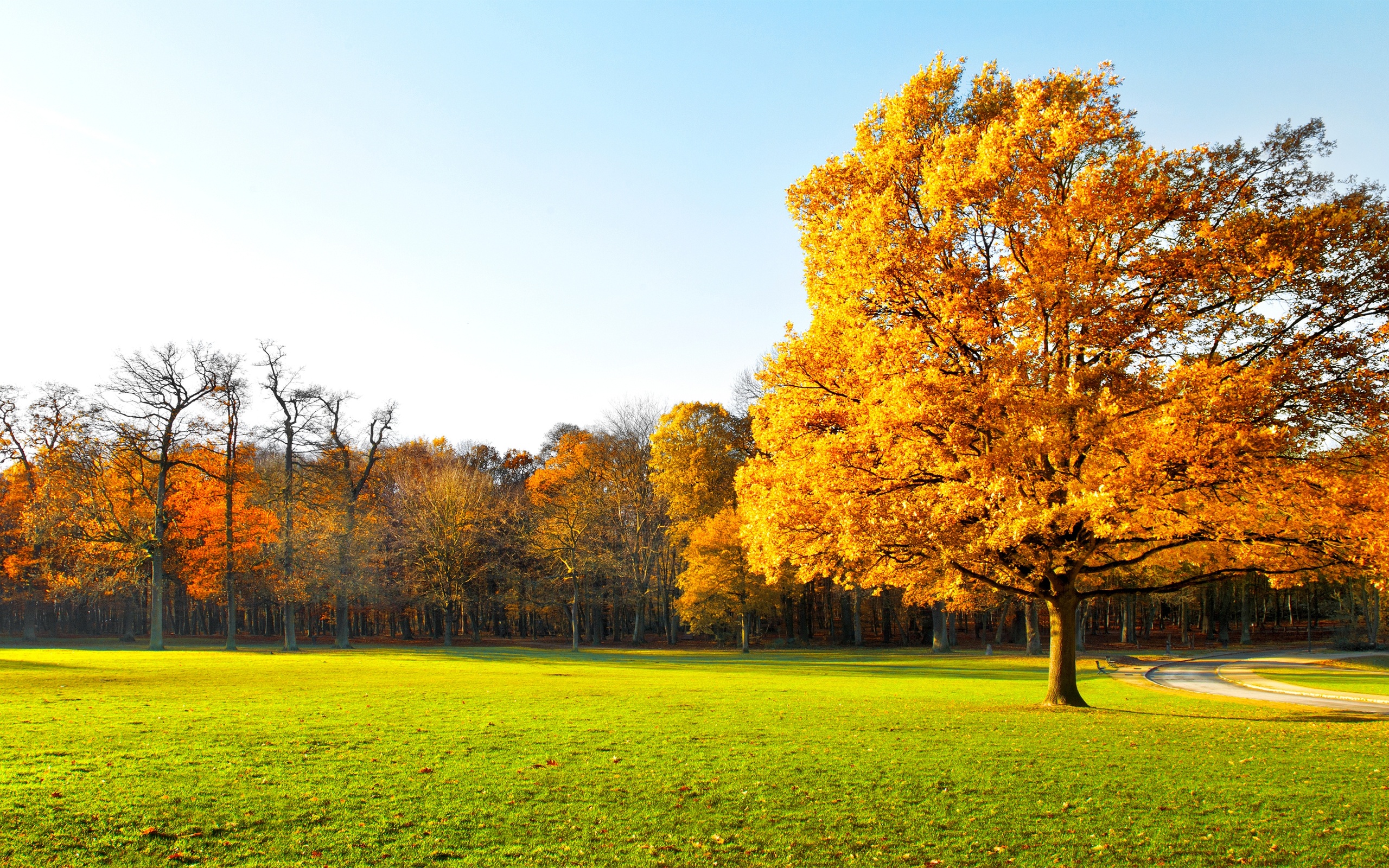 A vibrant autumn landscape with a golden oak tree in the foreground and a lush green meadow