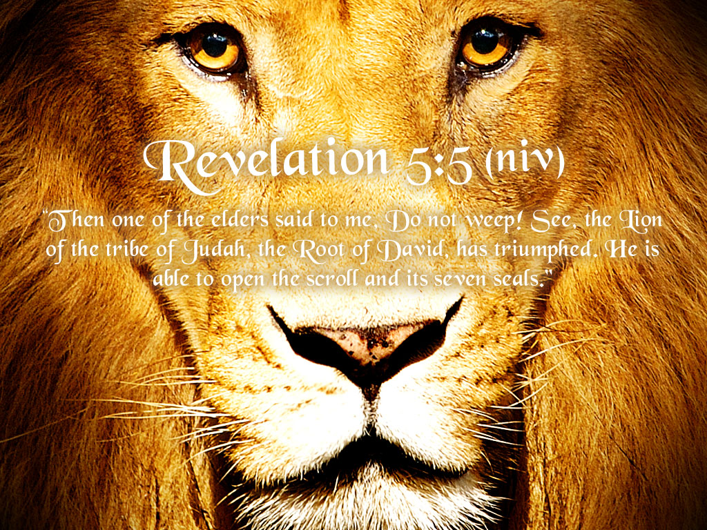 Revelation Do Not Weep Wallpaper Christian And