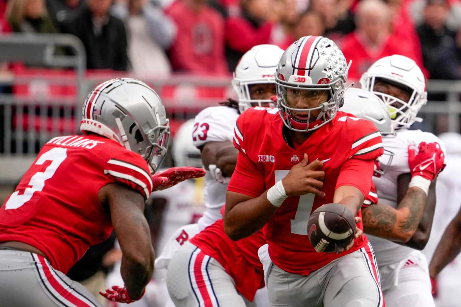 Take A Tour Of Cool Ohio State Wallpaper