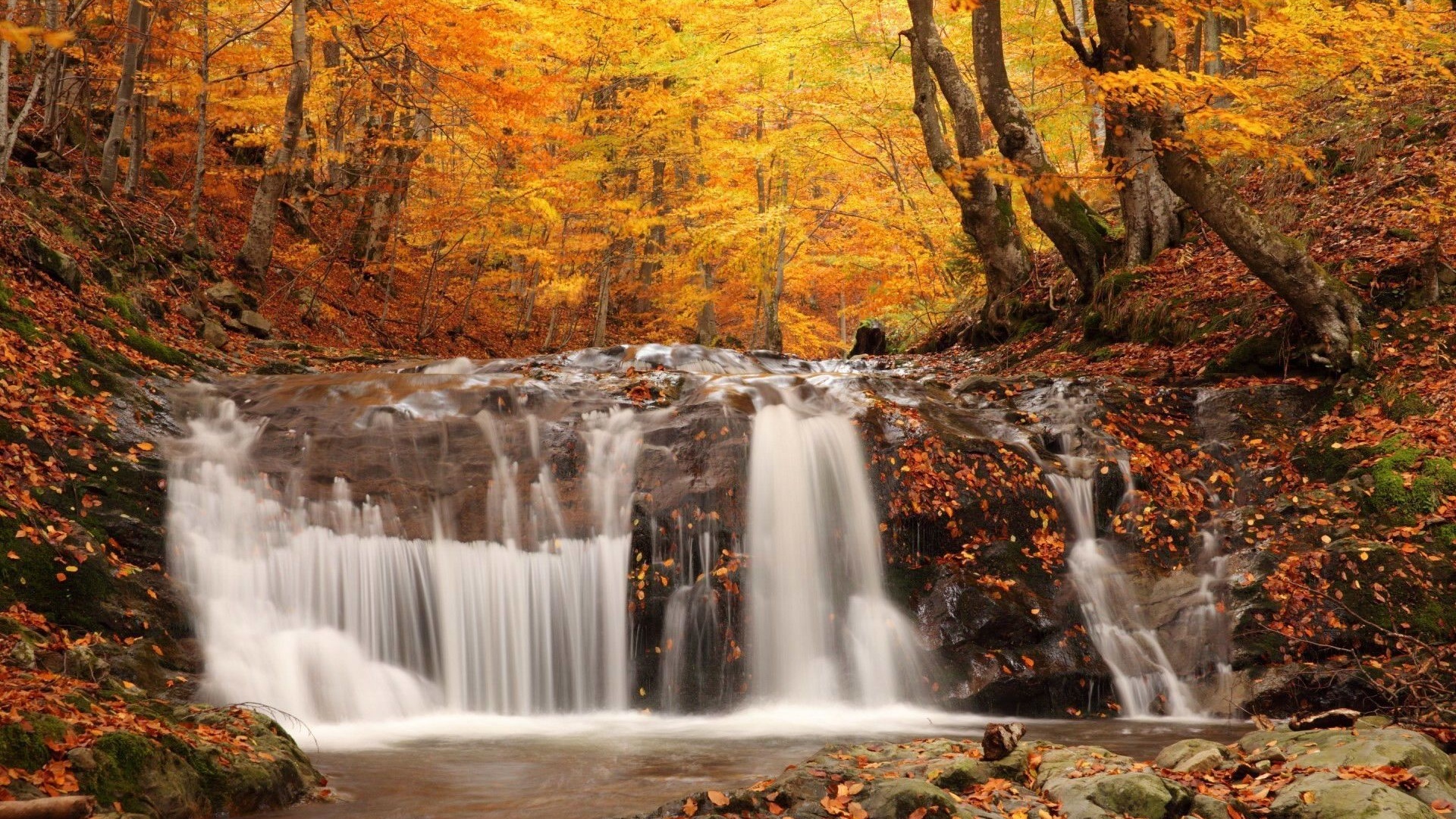Waterfall Autumn Fall Leaves Foto Artis Candydoll