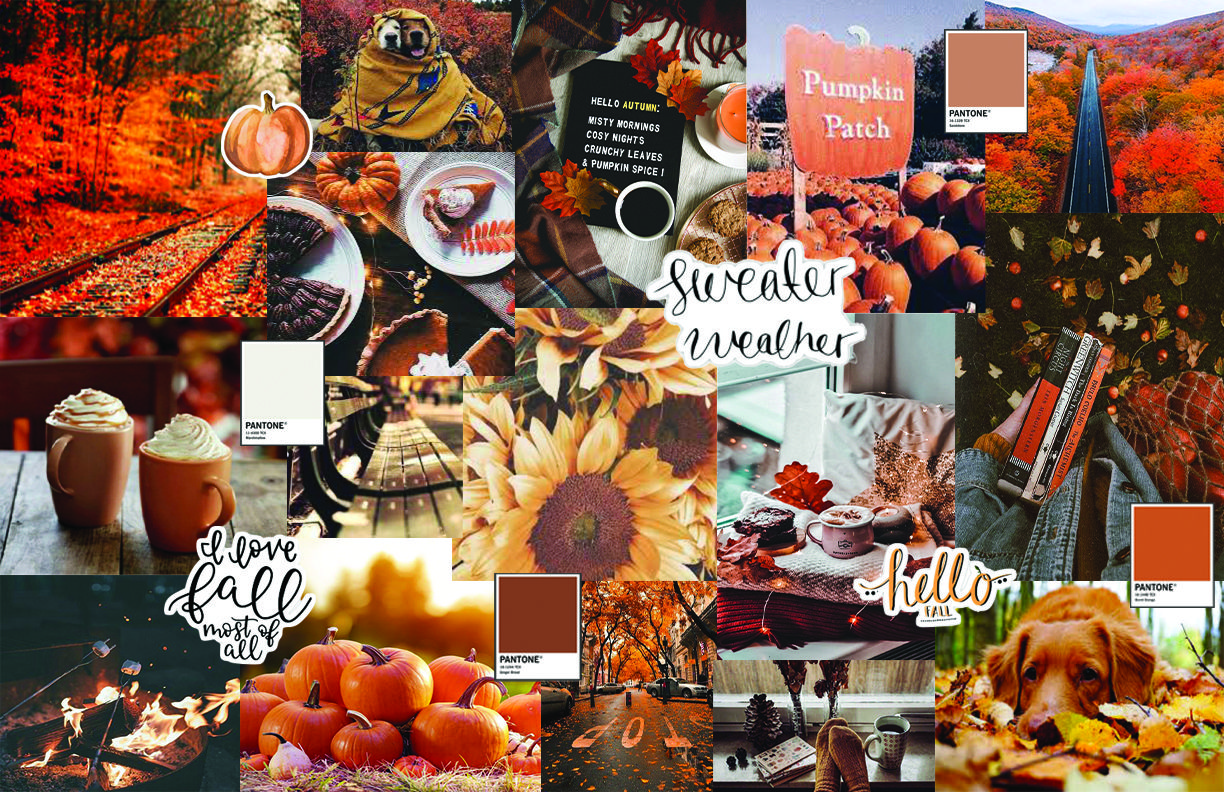 Fall Background Cute Wallpaper Desktop