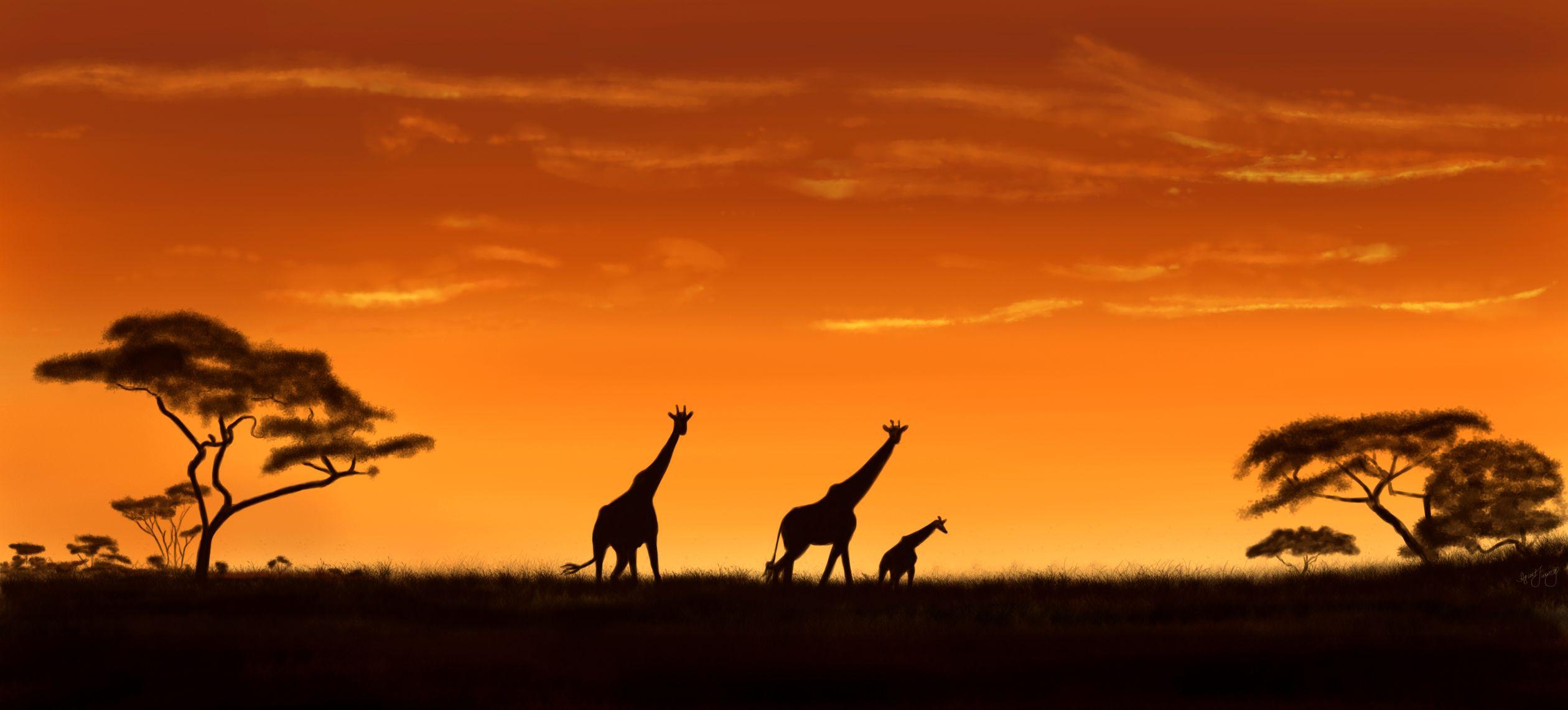 Savanna Wallpaper
