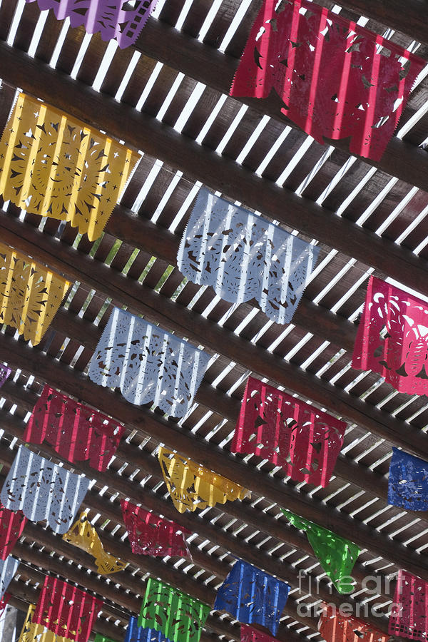 Free download Mariners Baseball Logo Mariners Mlb Baseball 69