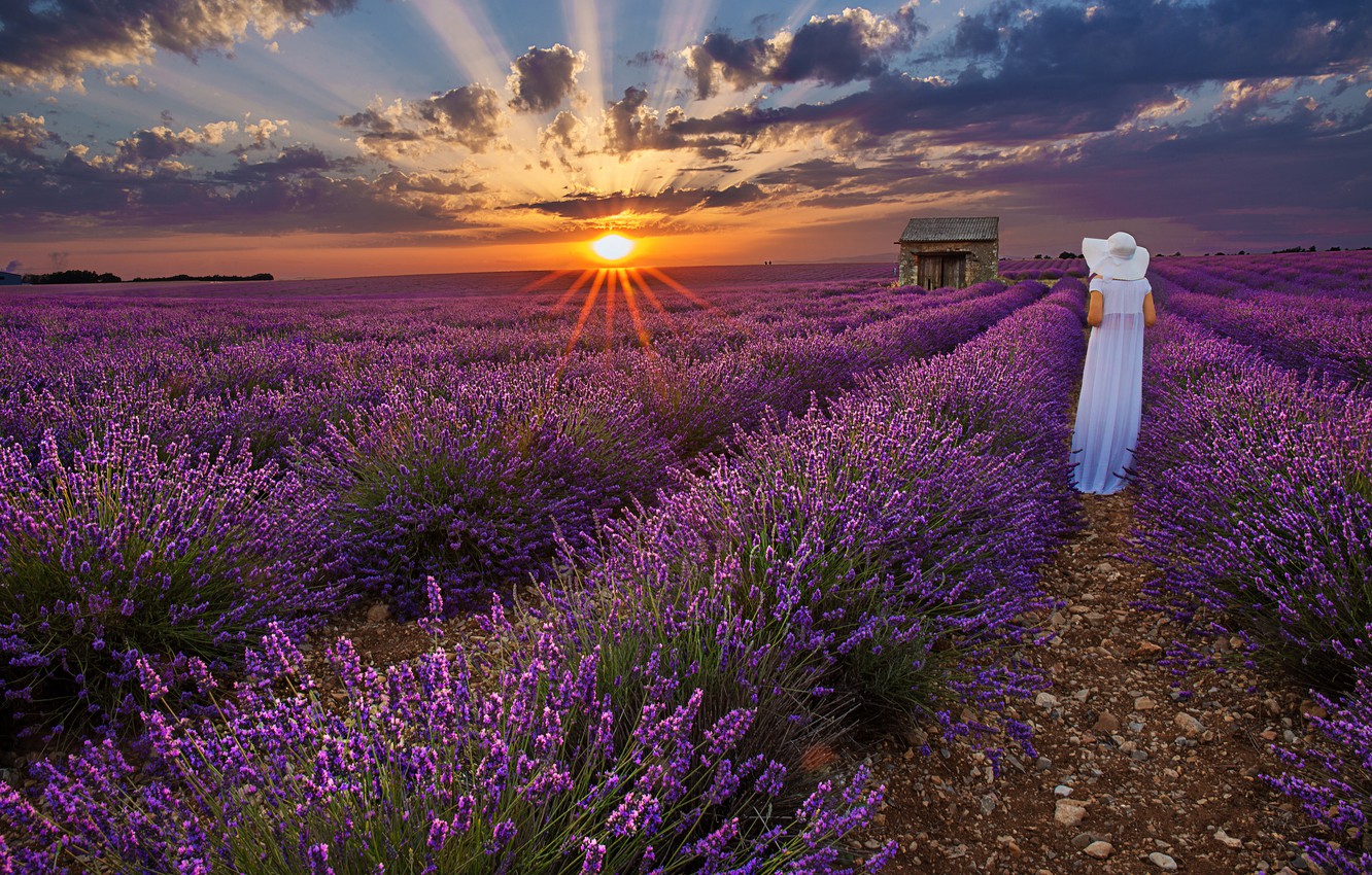 Wallpaper Sunset Woman Hat White Dress Lavender