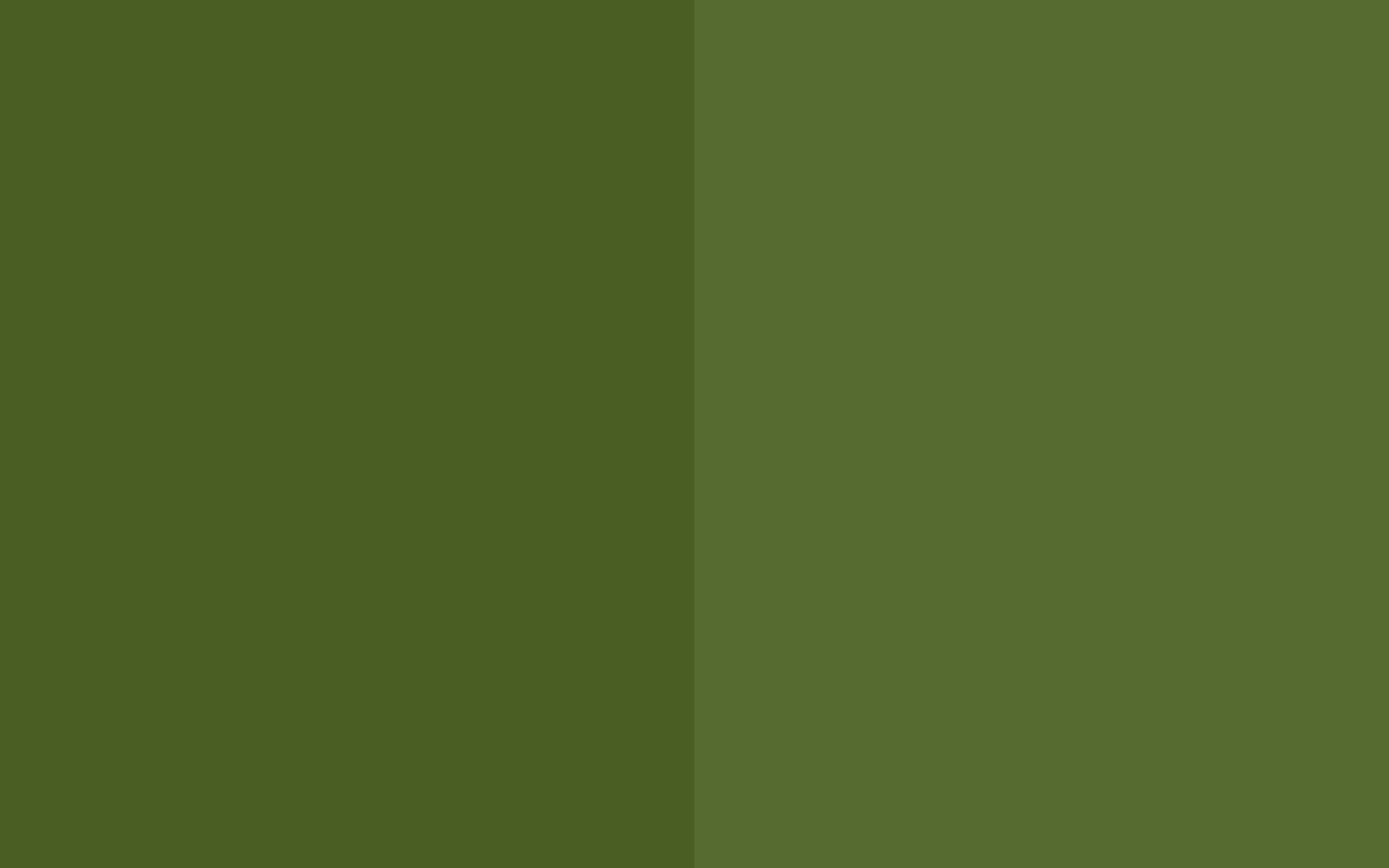 Resolution Dark Moss Green And Olive Solid