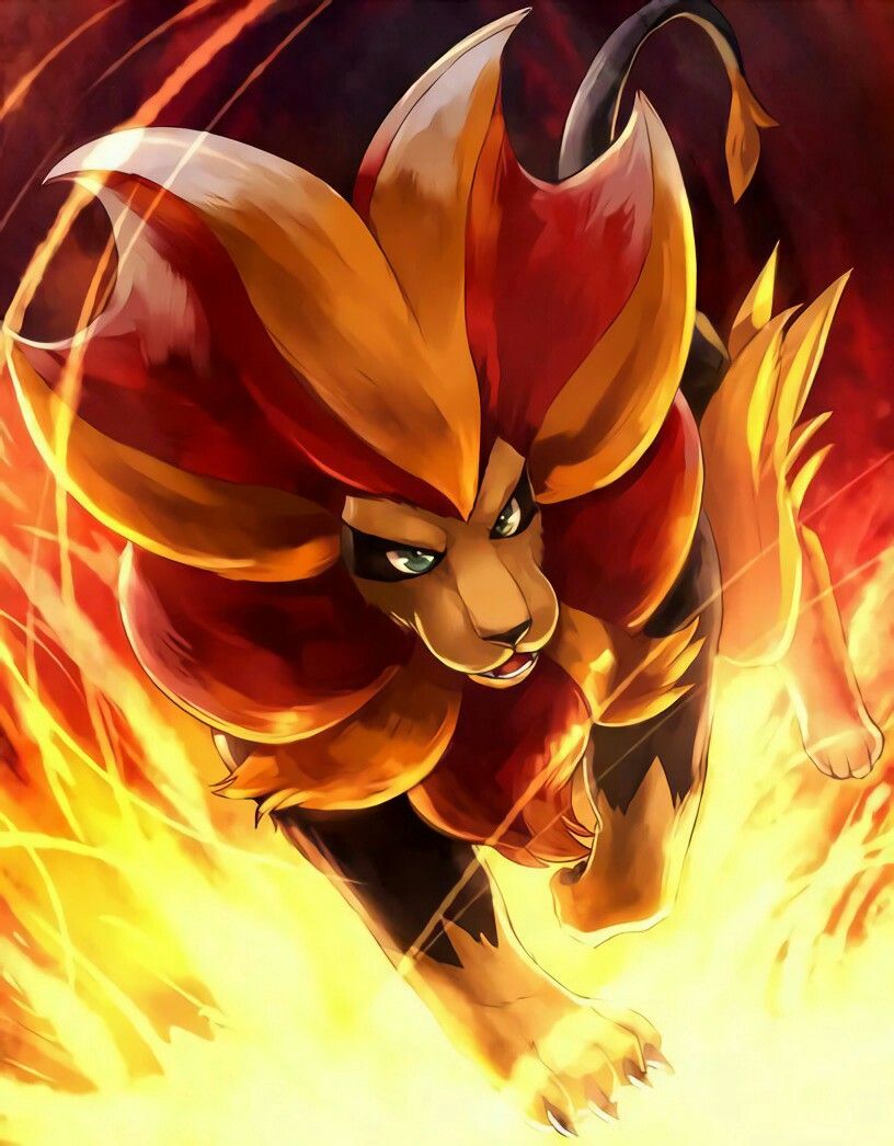 Pyroar Pokemon Fire Image