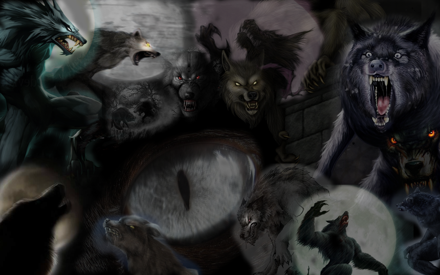 Werewolf Art Wallpaper Gift By