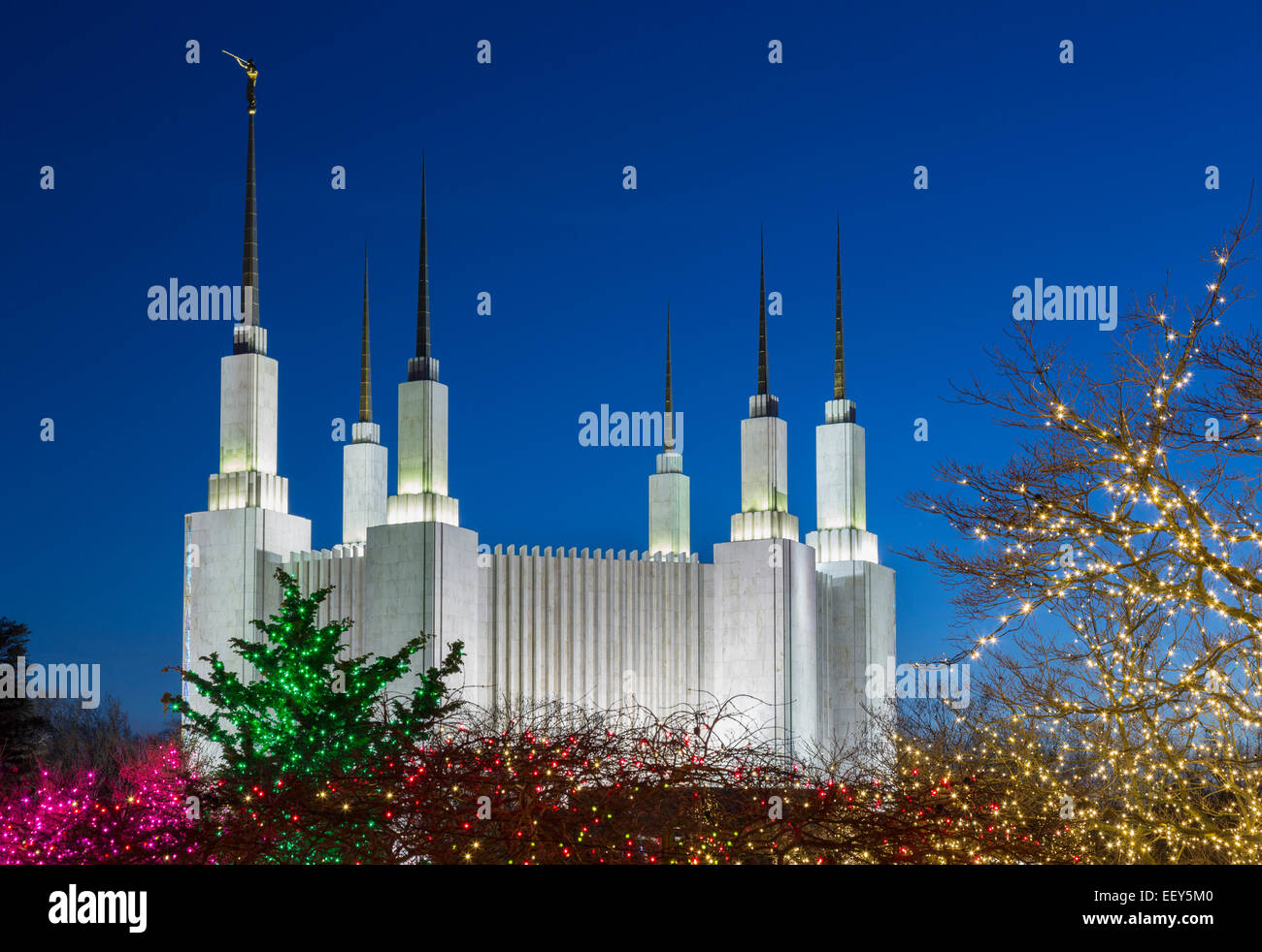 Christmas lights at Washington DC Temple or Church of Jesus Christ