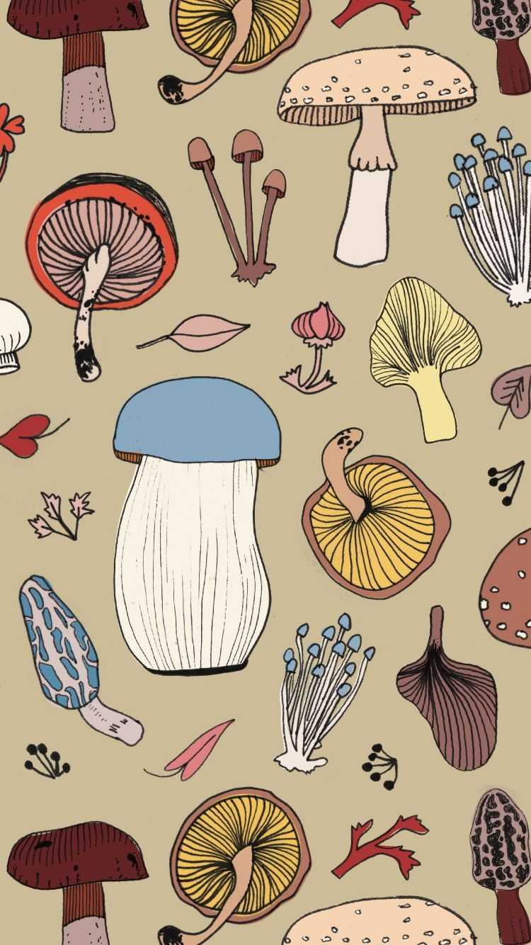 Mushroom Wallpaper Wptunnel