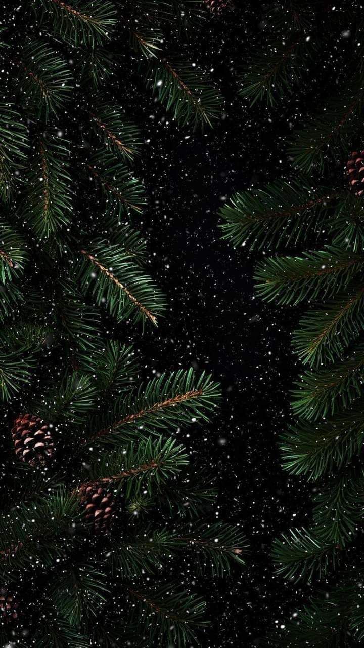 6b84d74a565d16c6553f693b1e230ea3 Wallpaper