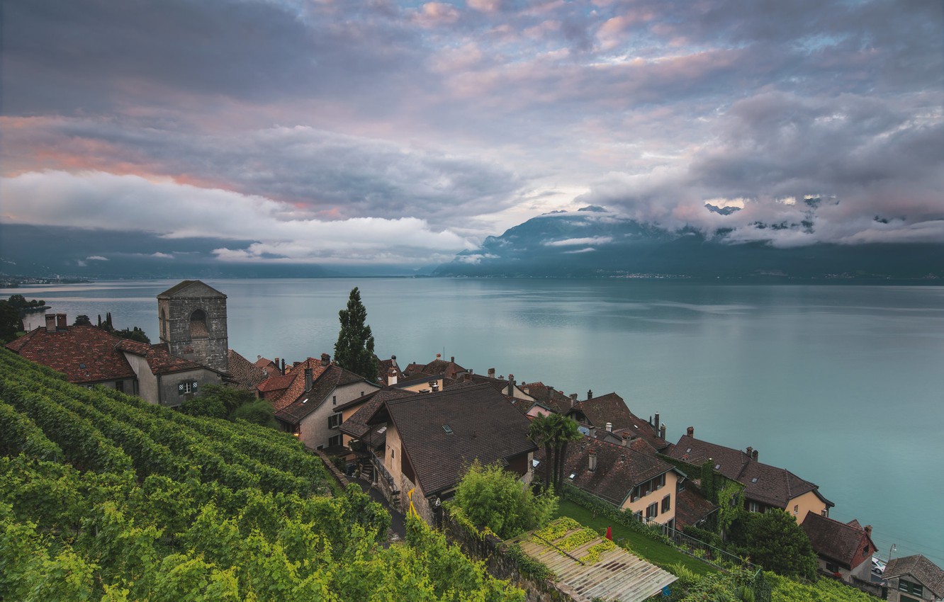 Wallpaper Lake Switzerland Geneva Vaud Saint Saphorin