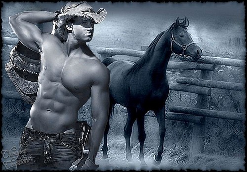 Cowboy Up Wallpaper Saddle
