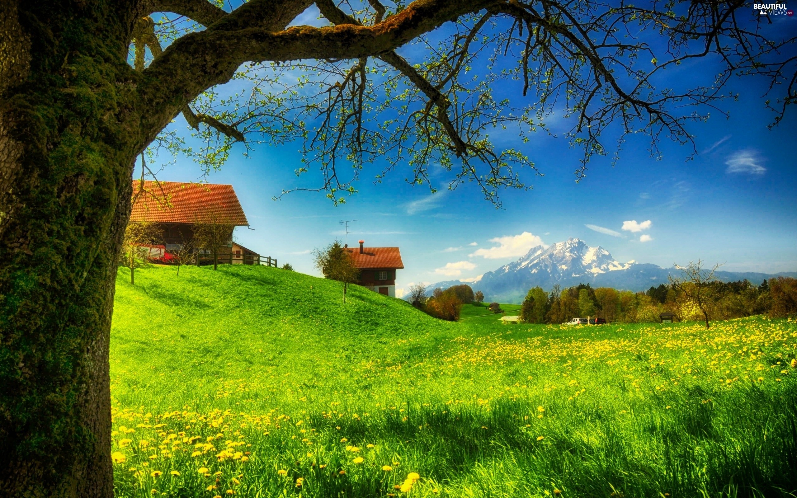 Beautiful S Wallpaper