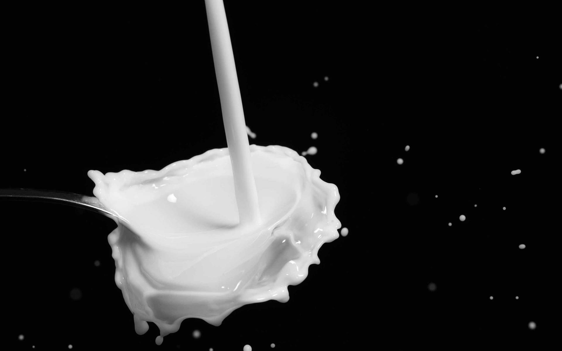 Milk Poured Into Metal Spoon 1c9z35c61vwuhcau Wallpaper