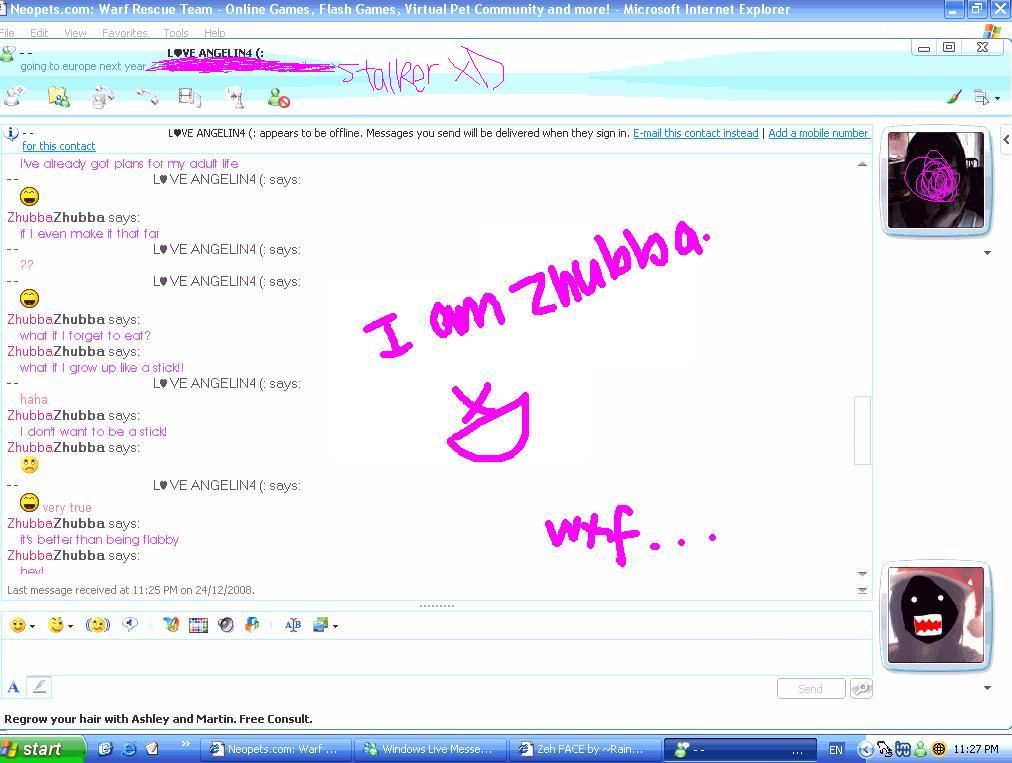 Funny Msn Chat By Rainbowarchkitti