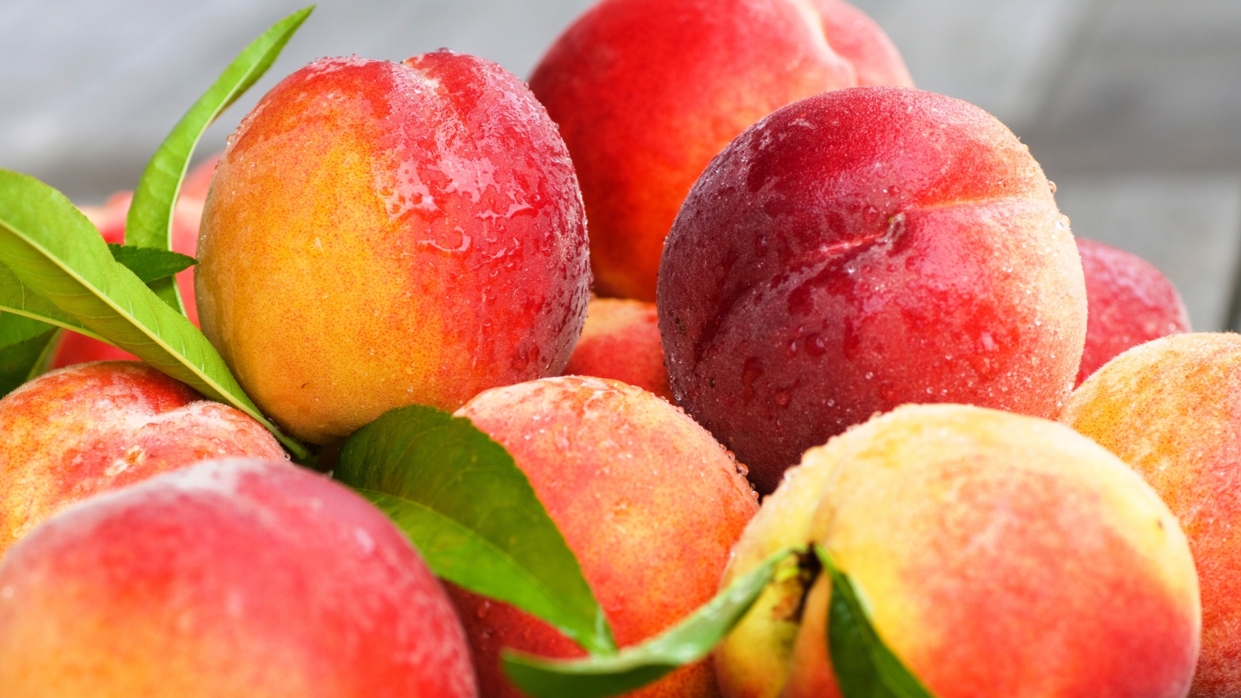 Peaches Nectarines Leaves 1440p Resolution Wallpaper