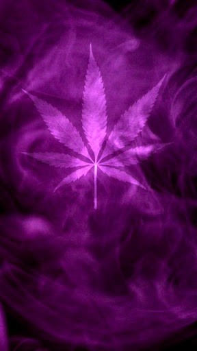 Purple Haze Smoke Wallpaper Marijuana Live